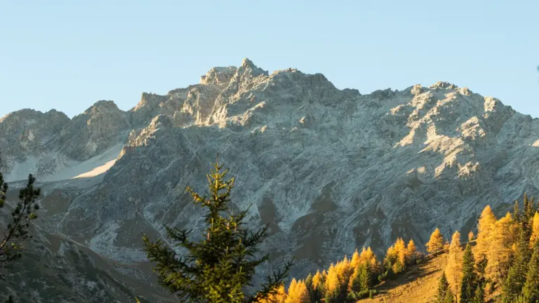 Majestätische Bergkulisse in Schnann, Tirol, mit goldenen Lärchen und felsigen Gipfeln im Tageslicht.