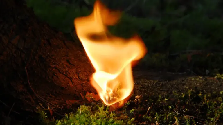 FIRE in Hamburg: Kunst über das Feuer ab 21. Juni