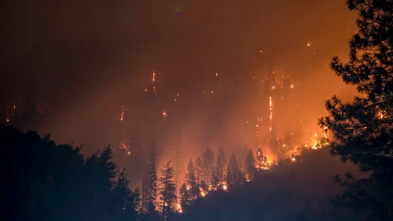 Hohe Waldbrandgefahr: Was Erlangen jetzt untersagt