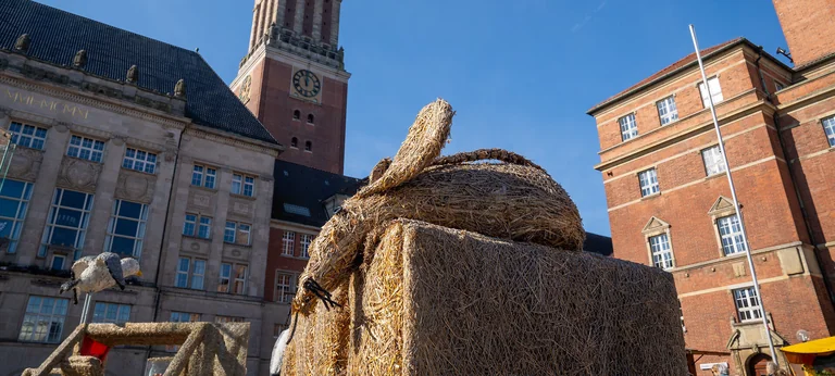 Kiels Bauern- und Regionalmarkt: 2. bis 4. Oktober gratis