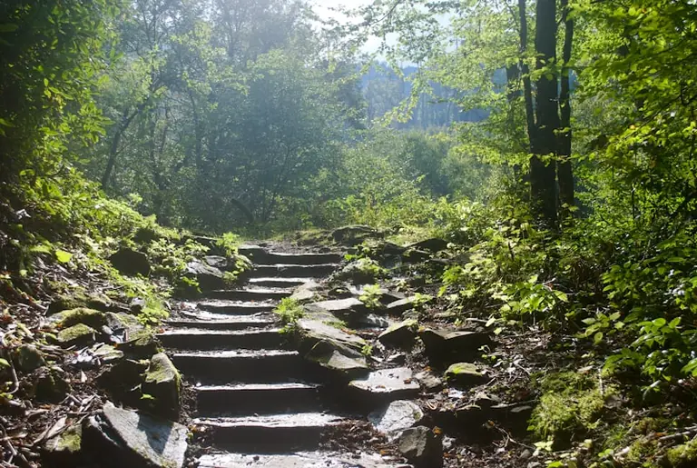 Kultur-Wanderung in Wewelsburg: Kostenlose Tour am 21. August