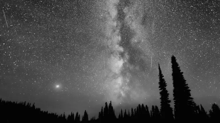Die Milchstraße und Perseiden-Sternschnuppen über einer dunklen Wald-Silhouette in der Nacht.