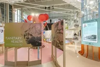 „Planetary Health“ in München: Ausstellung am 14. August