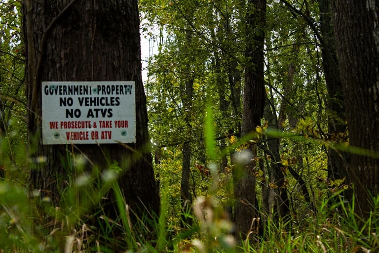 „Rettet unseren Wald!“ gratis am 14. August in Regensburg