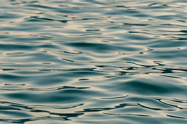Wasser im Traum: Was Psychologie und Kultur darin sehen