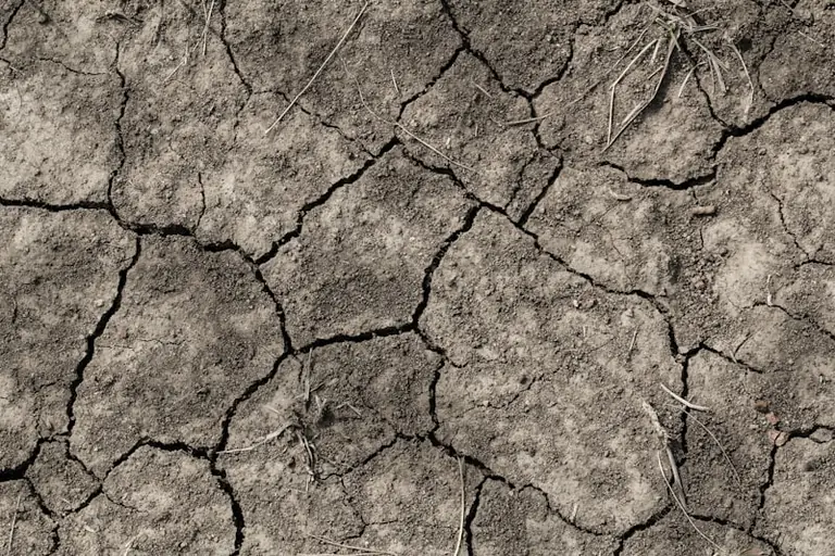 Wetter-Prognose für das letzte August-Wochenende 2026: Endet die Hitzewelle?