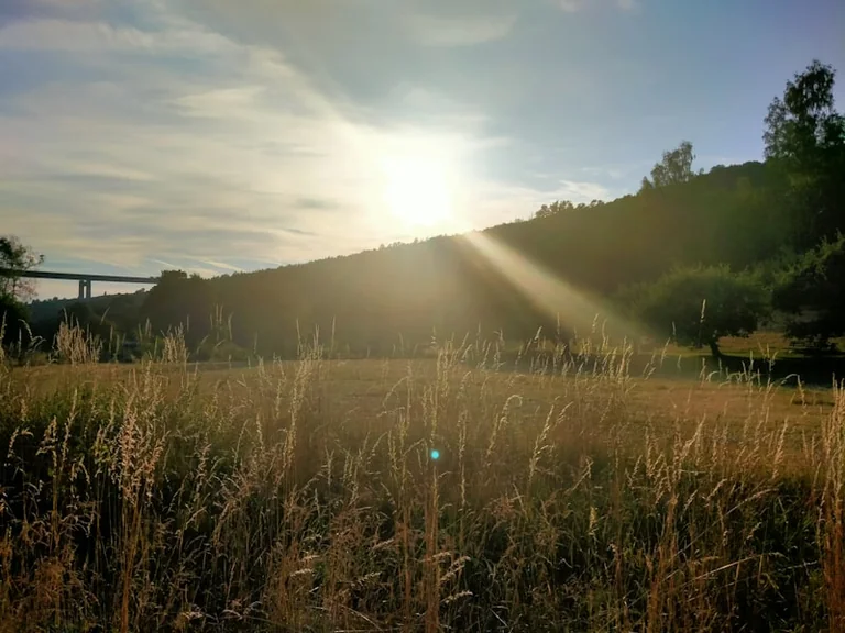 Wetterprognose für das letzte Augustwochenende 2026: Spätsommer-Comeback?
