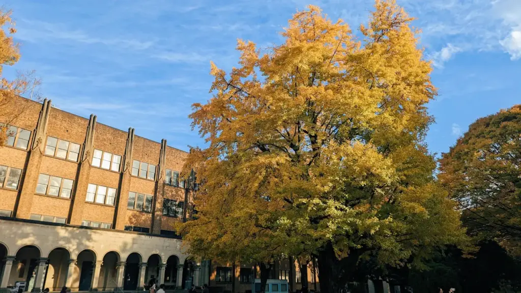 Ein herbstlicher Campus mit gelben Bäumen vor einem historischen Universitätsgebäude und Studierenden.