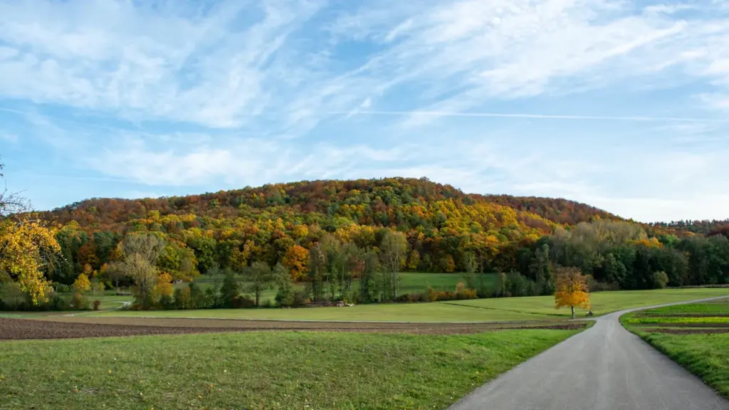 Ein idyllischer Feldweg führt im Herbst durch eine herbstlich gefärbte Landschaft in Deutschland.