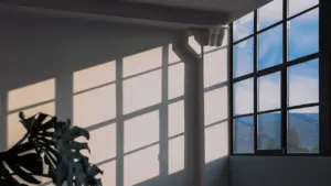 Monstera Pflanze wirft bei Morgenlicht dekorative Schatten an eine weiße Wand.