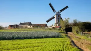 Historische Windmühle in einer ländlichen Umgebung an einem sonnigen Tag in Deutschland.