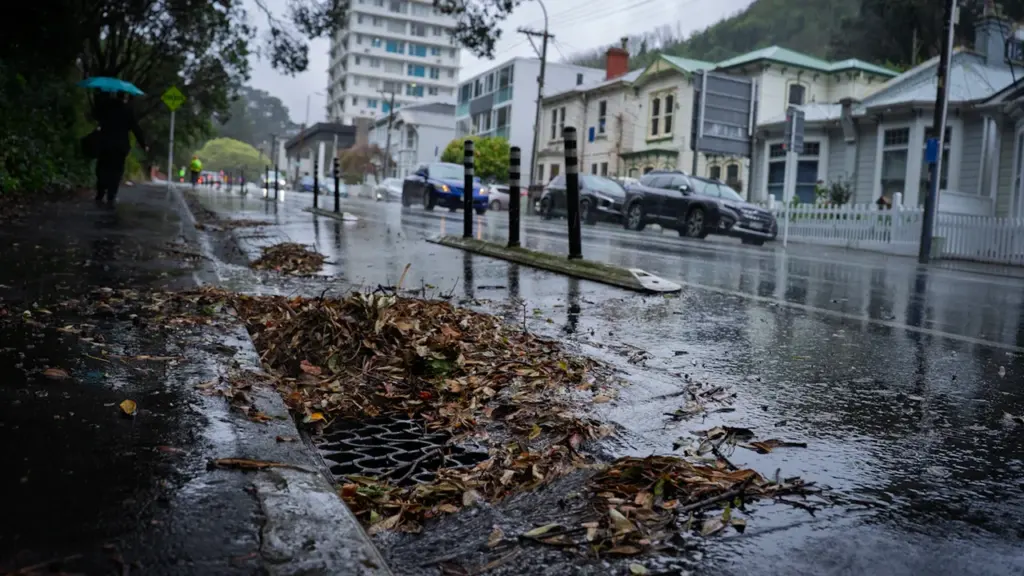 Ein verstopfter Abfluss am Straßenrand, bedeckt mit nassem Herbstlaub bei regnerischem Wetter.