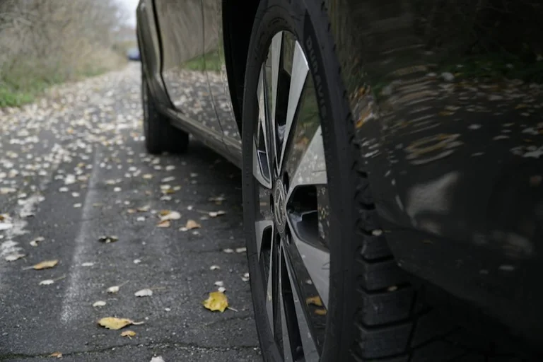 Nasses Herbstlaub: Wo Wege und Straßen besonders glatt werden
